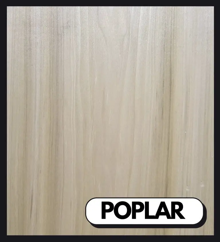 poplar wood grain