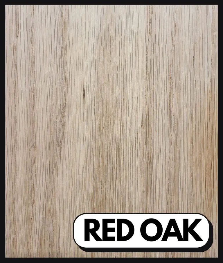 red oak wood grain