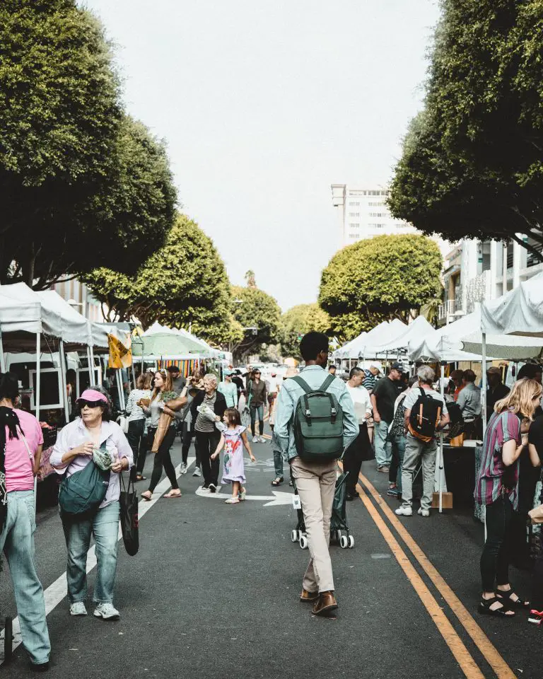 people browsing tents at a special event